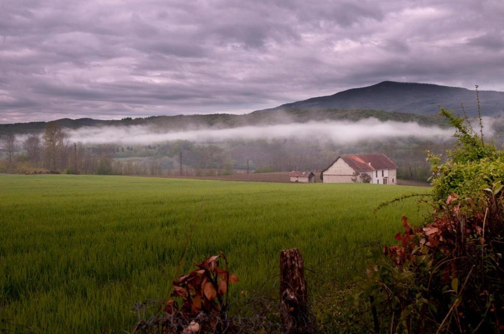 Chambres D'Hotes La Prairie Belley Kültér fotó