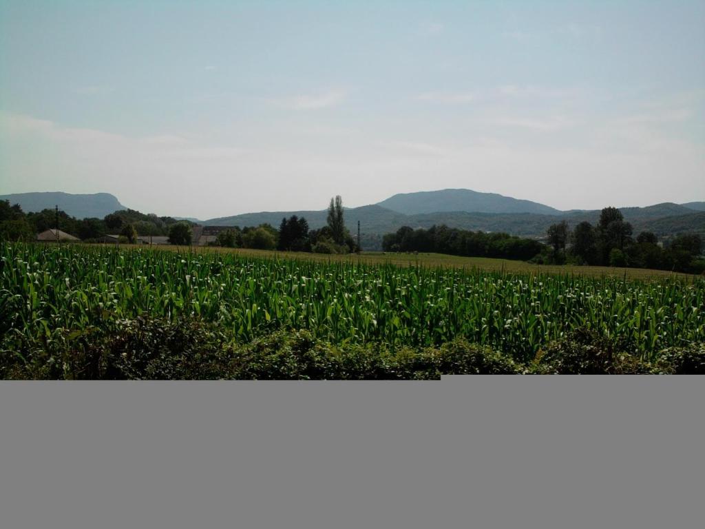Chambres D'Hotes La Prairie Belley Szoba fotó